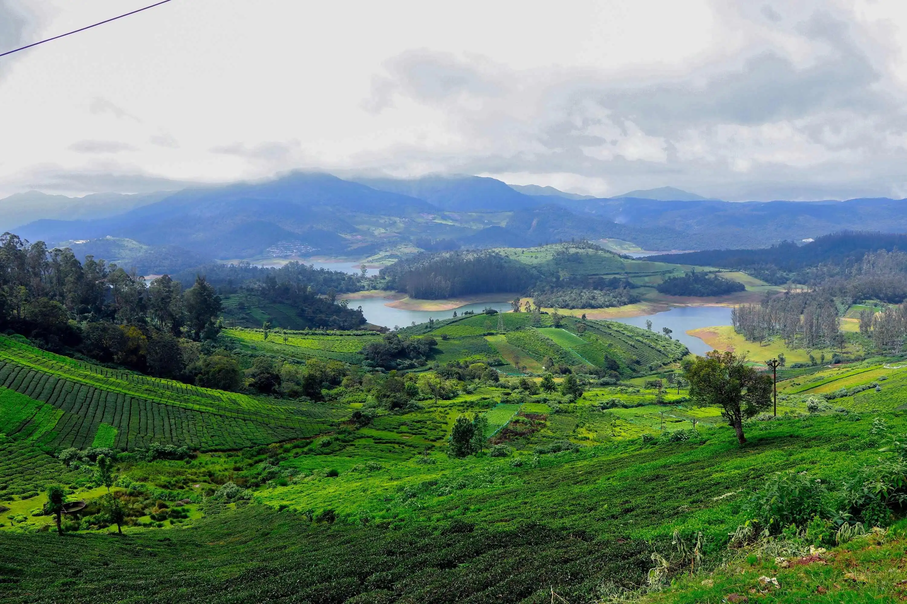 Munnar